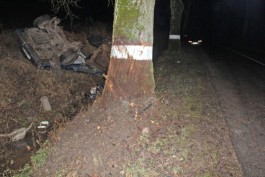 Под Черняховском «Форд» влетел в дерево: погибли три человека