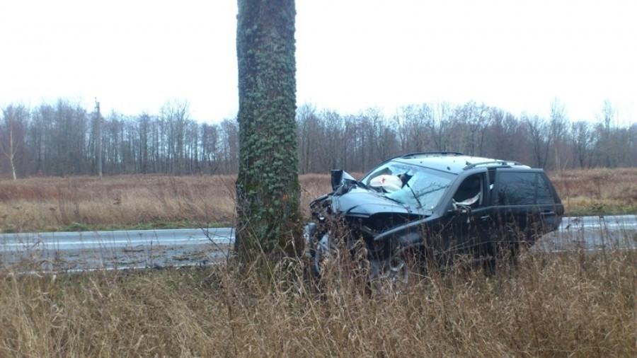 На трассе Балтийск — Калининград BMW X5 врезался в дерево: пострадали три человека (фото)