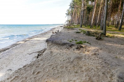 В Калининградской области ожидается прохладная рабочая неделя