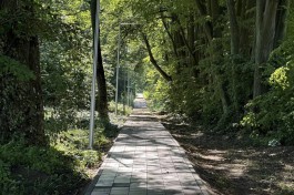 В Черняховске завершили благоустройство Ботанического сада (фото)
