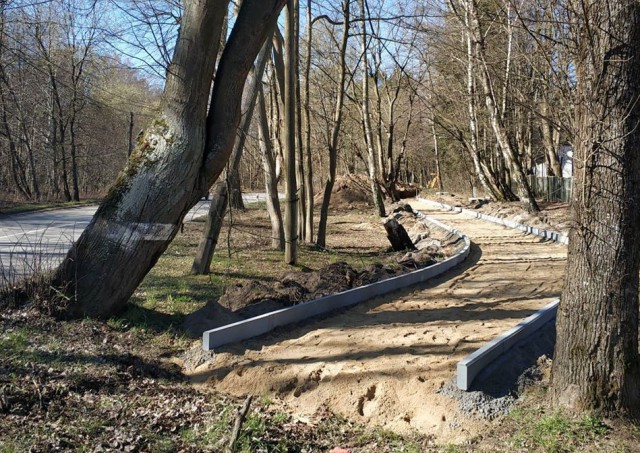 На территории парка в Отрадном начали строить велодорожку