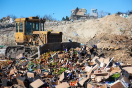 «За всё заплатят граждане»: бизнес поругался с властями области из-за цен на вывоз мусора в Калининграде