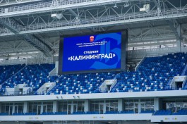 Лепсая: «Балтика» не отказывается от идеи сыграть с «Шальке» в Калининграде
