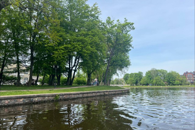 Синоптики прогнозируют до +22°C на рабочей неделе в Калининградской области