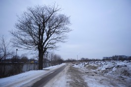 Дороги в Калининградской области планируют обрабатывать «чудо-смесью»