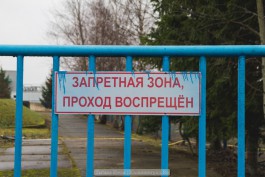 В Калининградской области планируют полностью запретить организацию скотомогильников
