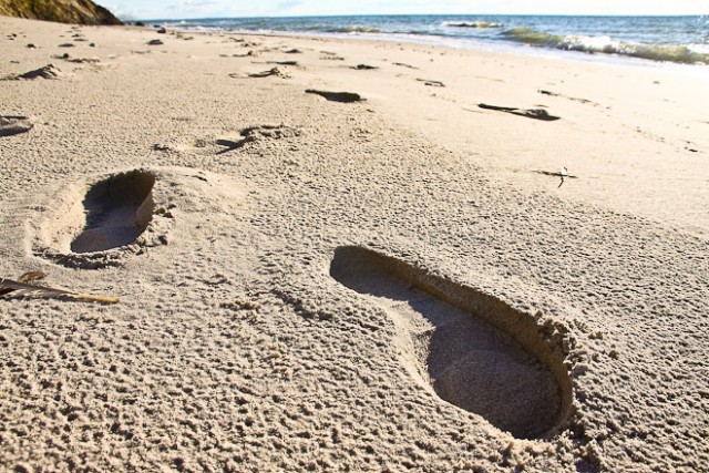 Приморским городам региона выделили по 2 млн рублей на содержание пляжей