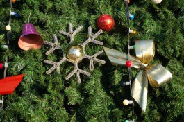 УМВД: За поджог новогодней ёлки на площади Победы калининградцу грозит до двух лет колонии