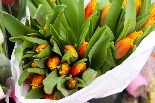 «Цветы по сезону»: каких подарков хотят калининградки к 8 Марта (фото)