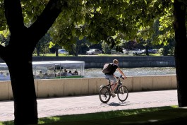 Синоптики прогнозируют до +27°C на рабочей неделе в Калининградской области 