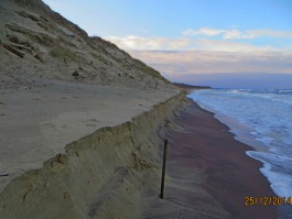 Из-за штормов на Куршской косе в три раза сократилась ширина пляжа