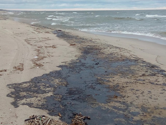 Очевидцы: На побережье Балтийской косы появились нефтяные пятна (фото)