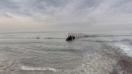 Власти Зеленоградска предупреждают об опасности купания на 1-2 км Куршской косы