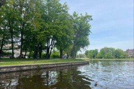 Синоптики прогнозируют до +19&deg;C на рабочей неделе в Калининградской области