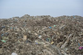Росприроднадзор планирует проверку после пожара на мусорном полигоне под Знаменском