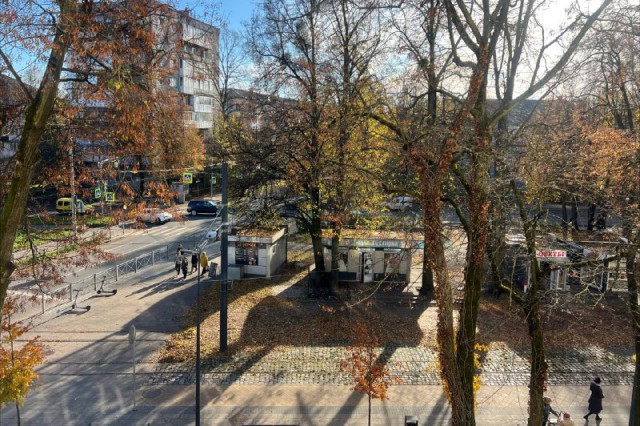 «До +13°С»: синоптики рассказали о «тёплых перспективах» в начале ноября в Калининградской области