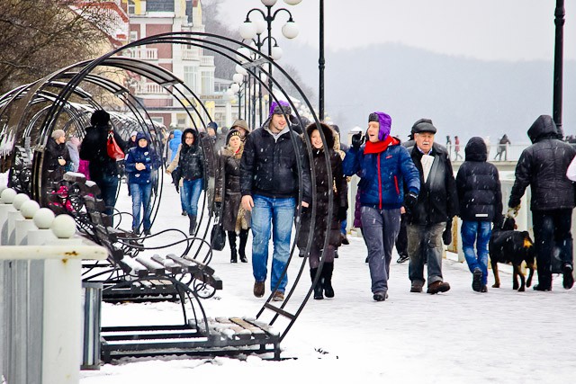 Синоптики прогнозируют холодную зиму в Калининградской области