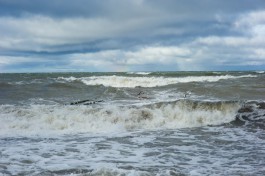 МЧС объявило штормовое предупреждение: на побережье Калининградской области ожидается ураган до 35 м/с
