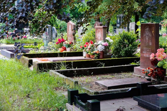 Для нового кладбища под Балтийском выделили 13 гектаров земли