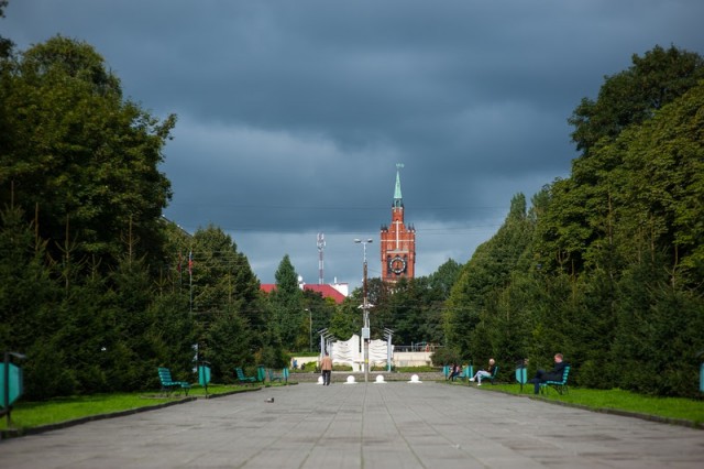 В Южном парке Калининграда обустроят платную парковку