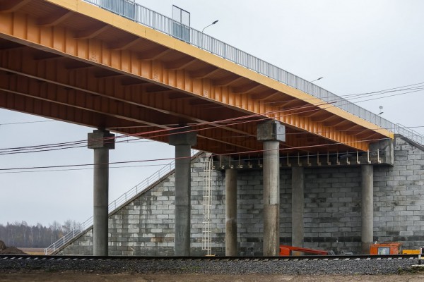 Власти намерены потратить 1,5 млрд рублей кредита на путепровод для туркомплекса с аквапарком в Сокольниках