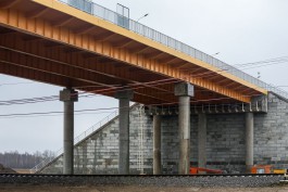 Власти намерены потратить 1,5 млрд рублей кредита на путепровод для туркомплекса с аквапарком в Сокольниках