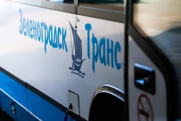 Новая парковка для туристических автобусов и машин на 250 мест появится на въезде в Зеленоградск