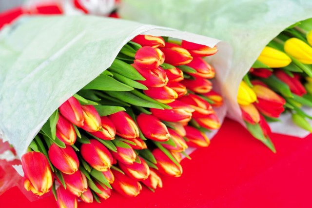 С начала года в Калининградскую область ввезли более 214 тонн цветов