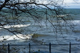МЧС объявило штормовое предупреждение: порывы ветра в регионе будут достигать 30 м/c