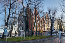 Рядом с гостиницей Mercure в Калининграде спилят 15 деревьев