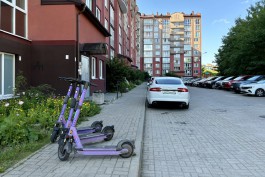 В Калининграде запретят парковать арендованные самокаты возле школ 