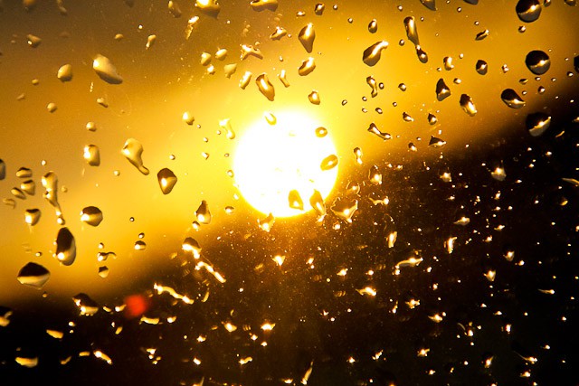 Синоптики обещают калининградцам тёплые выходные с дождём