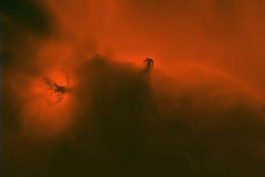 Калининградские астрономы засняли тёмную туманность Конская Голова 