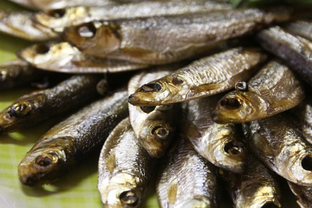 Власти: Калининградские рыбаки в полтора раза увеличили добычу кильки