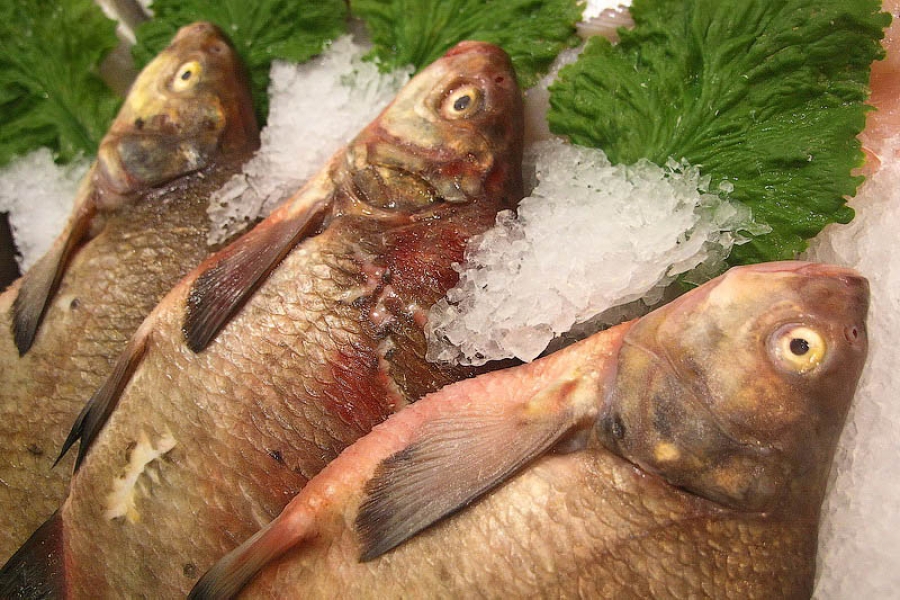В магазинах области проверяют количество льда в замороженной рыбе