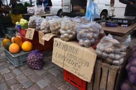 «Made in Нестеров»: как калининградцы закупались местными продуктами  (фото)