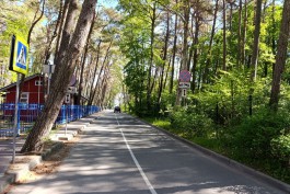 Территорию загородных лагерей Калининграда планируют расширить на 1,2 гектара