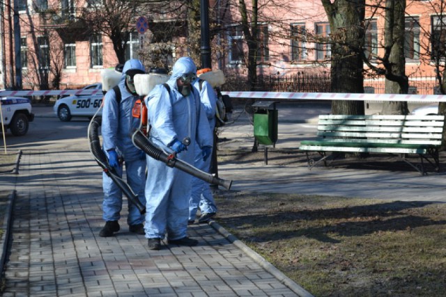 За неделю в Калининградской области от укусов клещей пострадали 18 человек