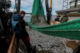 Путин поддержал предложение калининградских рыбаков по обновлению флота