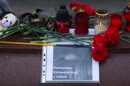 Калининградцы несут цветы и игрушки на площадь Победы в память о погибших в Кемерове (фото)