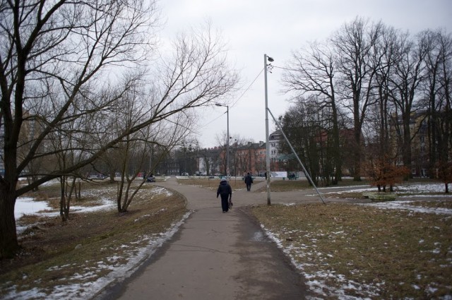 В Калининградской области обещают морозную неделю без осадков