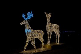 В парке Зеленоградска установили новогодние световые инсталляции высотой 4,5 метра