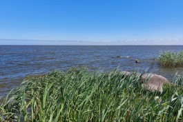 Прокуратура требует вернуть муниципалитету землю на берегу Куршского залива