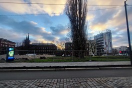 На улице Краснооктябрьской в Калининграде разрешили вырубку деревьев для обустройства сквера