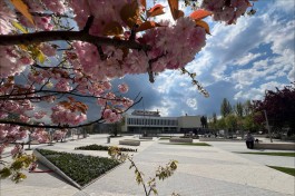 В последние выходные апреля в Калининградской области ожидается похолодание и дожди