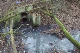 Росприроднадзор: «Гурьевский Водоканал» загрязнял реку под Калининградом