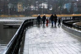 В выходные синоптики прогнозируют в Калининградской области +7°С и дожди