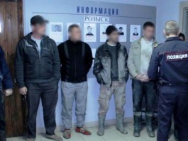 Под Зеленоградском полицейские задержали 25 чёрных копателей янтаря