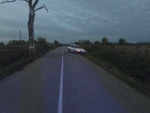 В Неманском округе «Фольксваген» въехал в дерево: погиб 49-летний пассажир