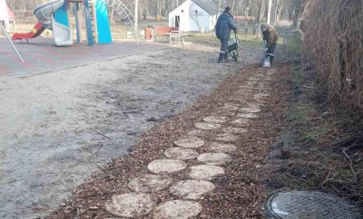 В калининградских парках делают дорожки и скамейки из упавших деревьев